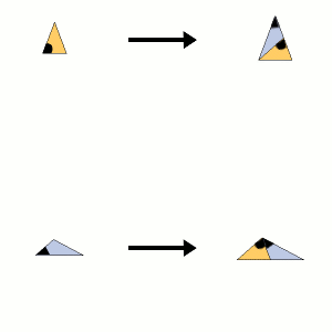 Rule Triangle Duo (twin mirror)