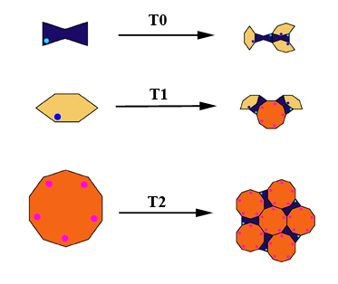 Rule Bowtie-Hexagon-Decagon 1