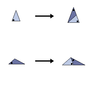 Rule Triangle Duo