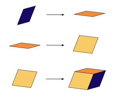 Rule Tribonacci Dual